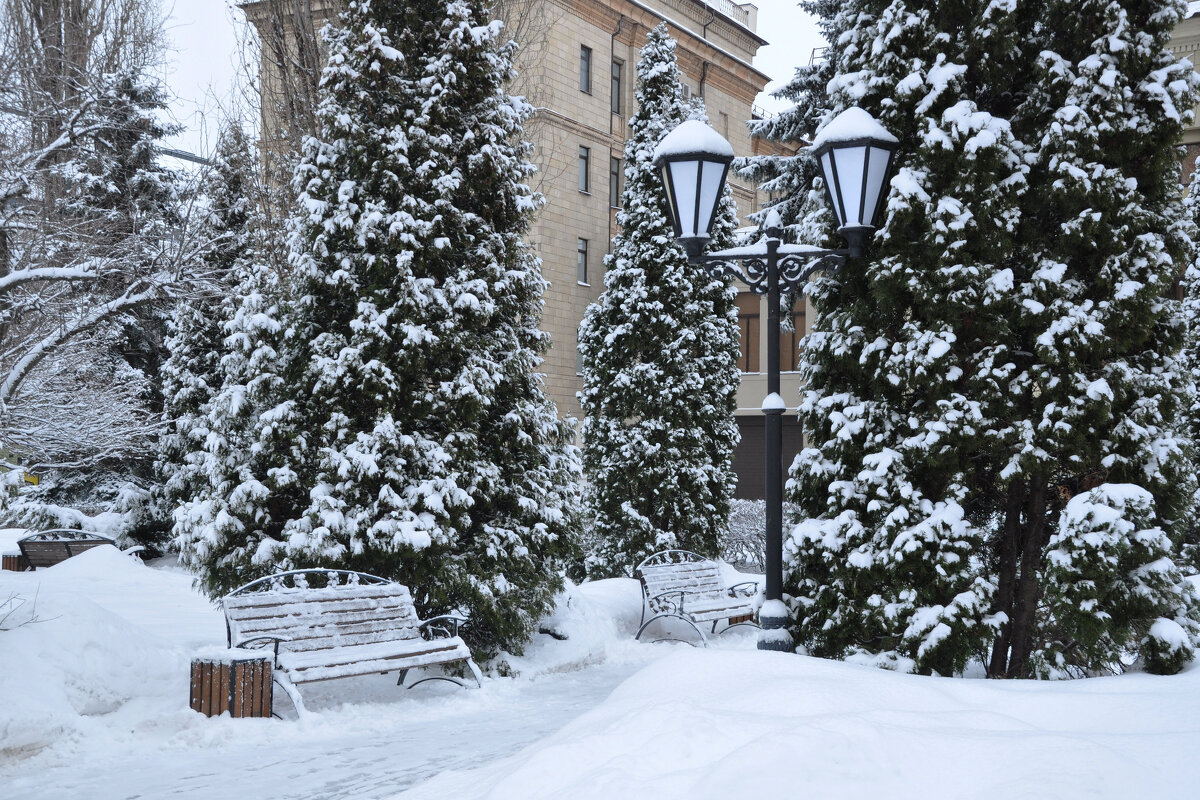 Снежный январь - Татьяна 
