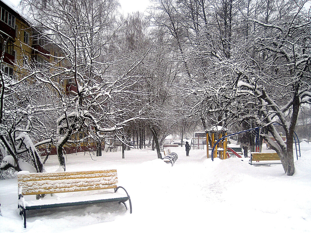 Мой город зимой - Елена Семигина