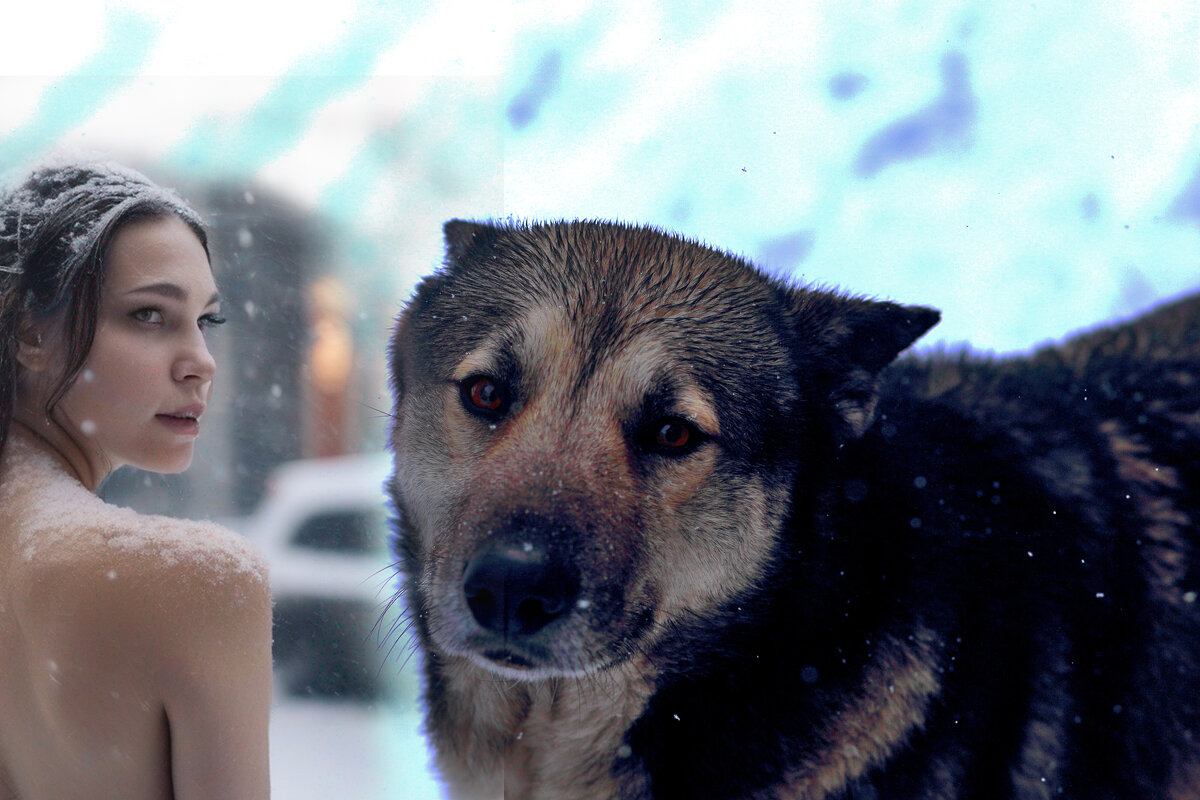 Собака и нейрокрасавица - Юрий Гайворонский