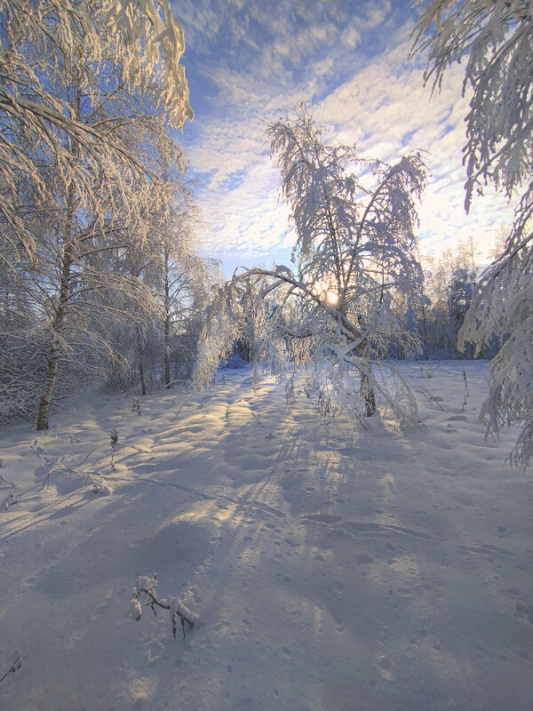 Морозный январь - Александр Белый