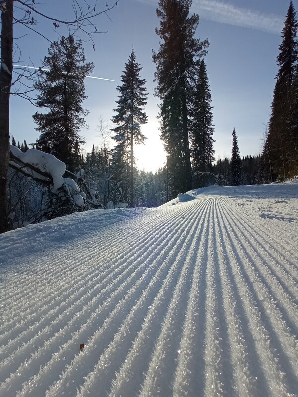 Рай для лыжника - Павел Трунцев