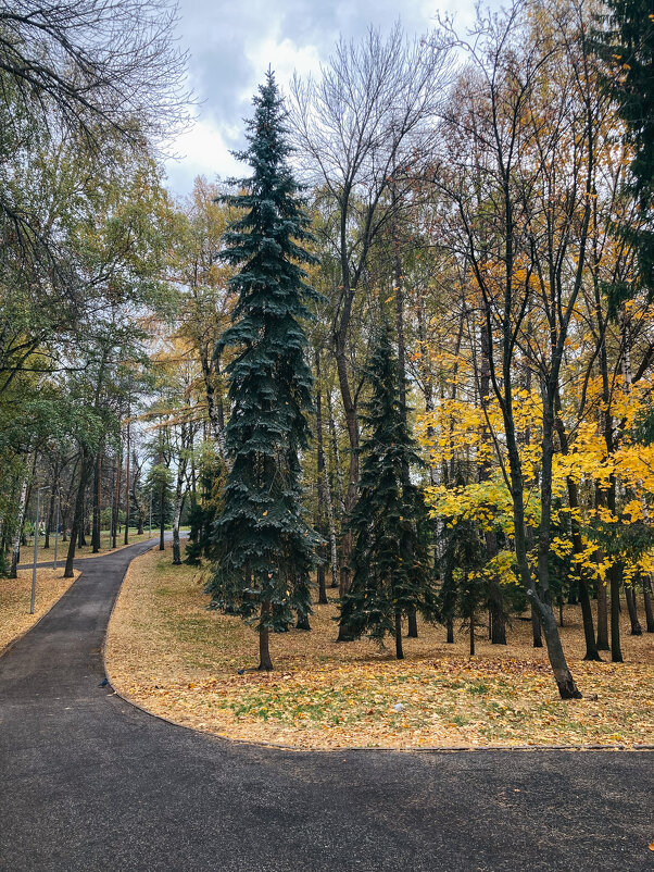 Осень - Юлия Бабаева