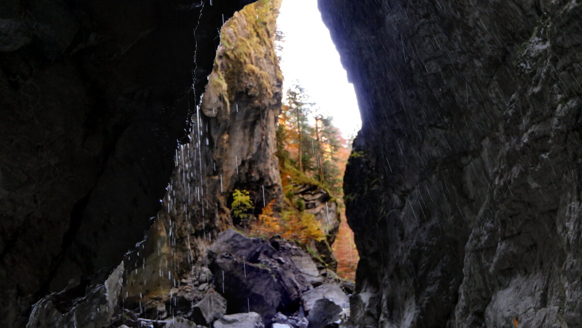 КАП...КАП...кап. ЛУЧШЕ Гор, могут быть-ТОЛЬКО ГОРЫ... - "The Natural World" Александер