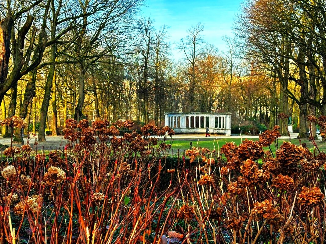 Весна в Королевском парке Брюсселя. - Aida10 