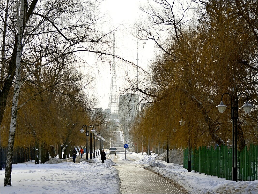 Февраль - Сеня Белгородский