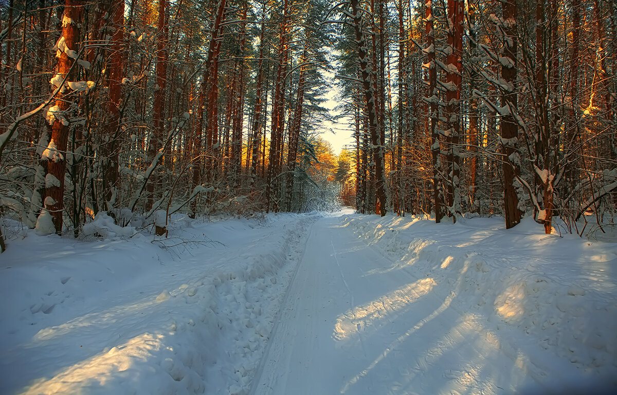 Солнечный январь. - Николай Феофанов