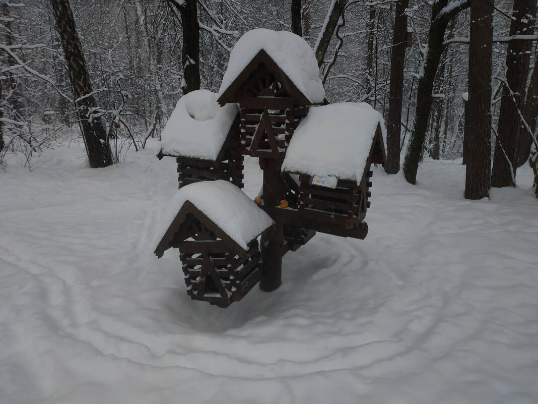 О вчерашнем снегопаде - Андрей Лукьянов