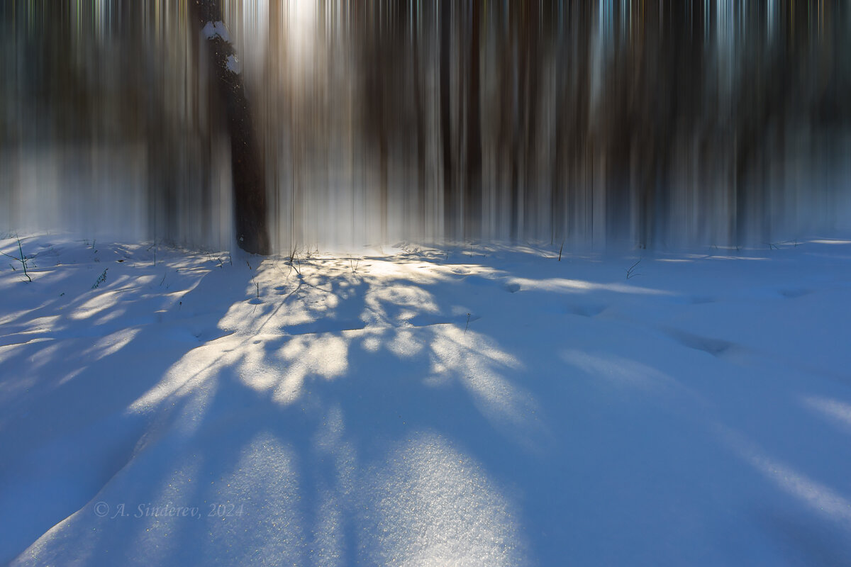 Солнечный свет и тени на снегу - Александр Синдерёв