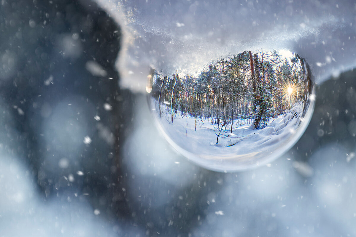 Зимний лес в стеклянном шаре - Валерий Вождаев