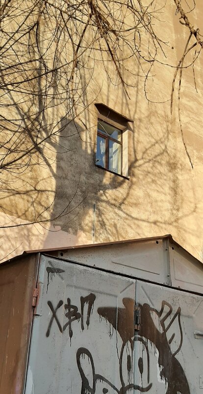 не скучный фасад - sv.kaschuk 