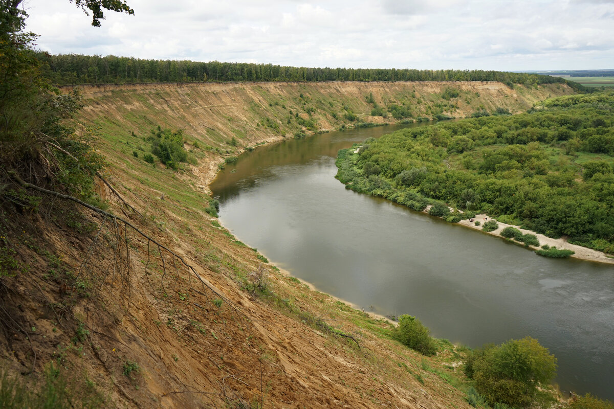 Урочище Кривоборье, Воронежская область. - Анастасия Софронова