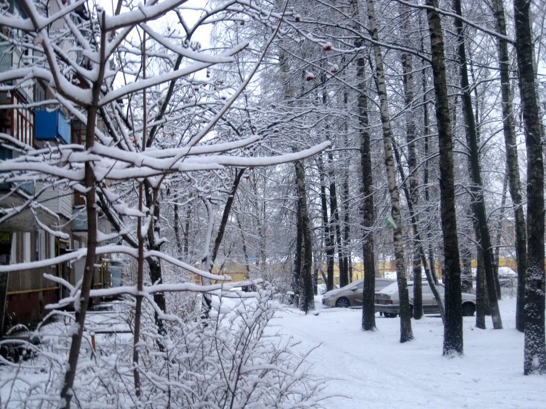 Зимой в городе - Елена Семигина