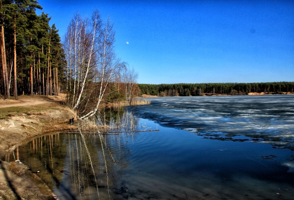 Весна на озере - Oleg S