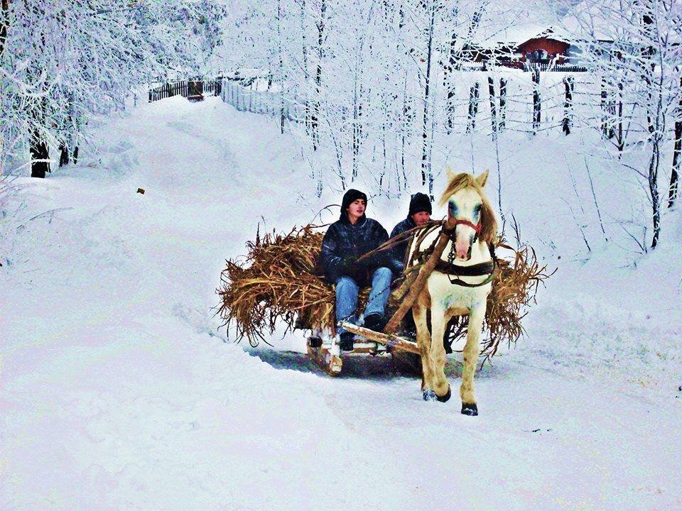 зима в Карпатах - Степан Карачко