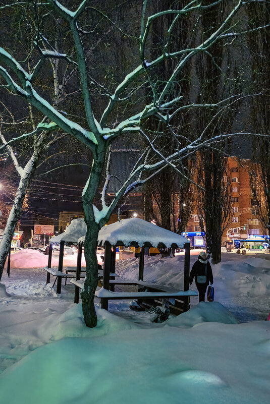 Зима - Сергей Шатохин 