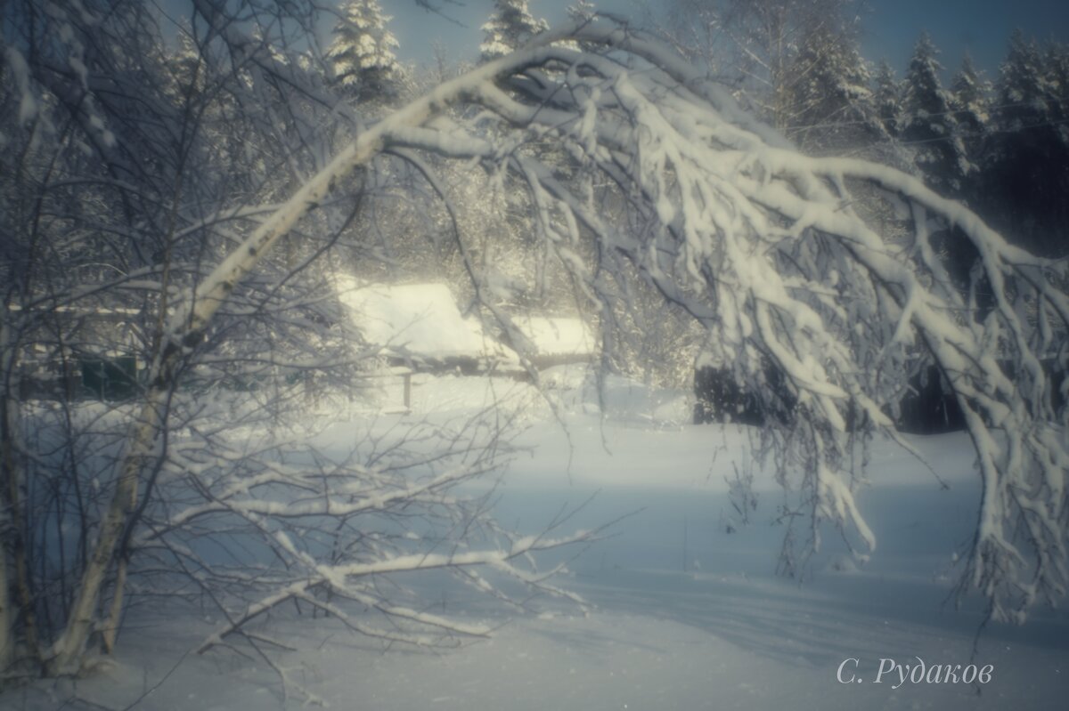 Занесенные снегом - Сергей 