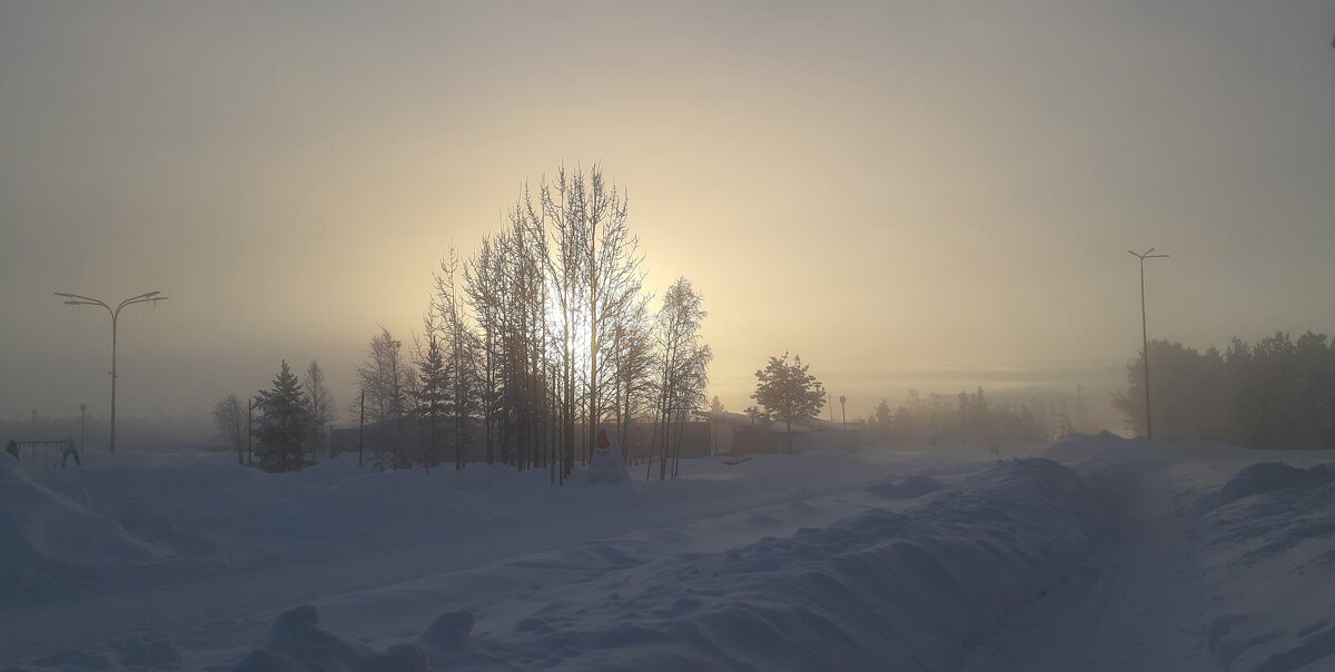 Зима в тумане - Ольга 