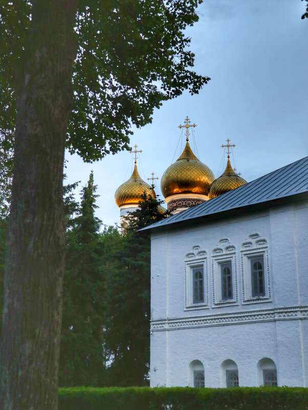 Купола Успенского кафедрального собора - Irene Irene