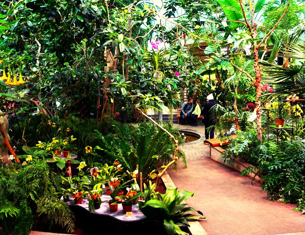 Выставка орхидей в  Пальмовом доме Ботанического сада Таллина 2024 - Aida10 