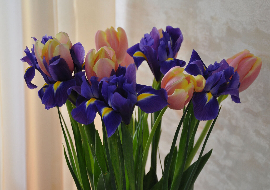 Цветы для женщин к 8 марта - Татьяна 