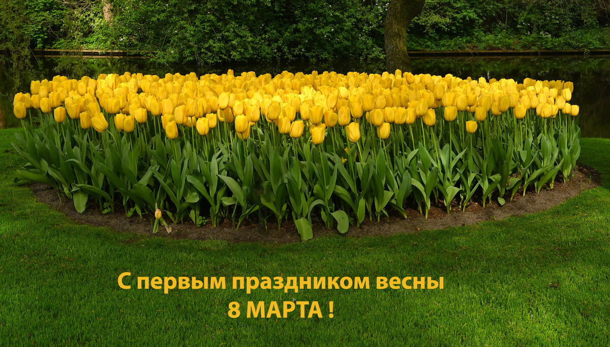 С первым Праздником весны 8 МАРТА! - Valentin Bondarenko