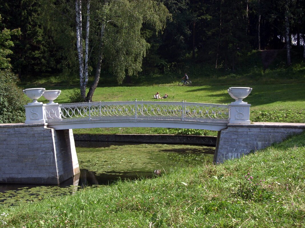 Чугунный мостик в Павловском парке. - Ирина ***