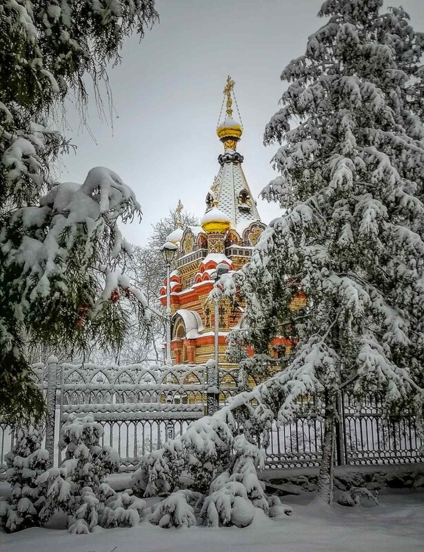 В зимнем парке - Виктор Позняков