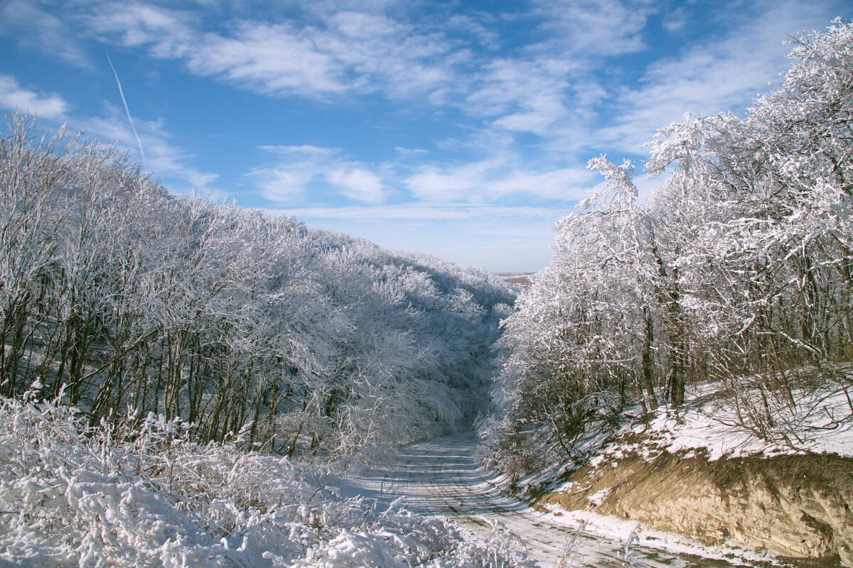 Пейзаж с зимней дорожкой - M Marikfoto