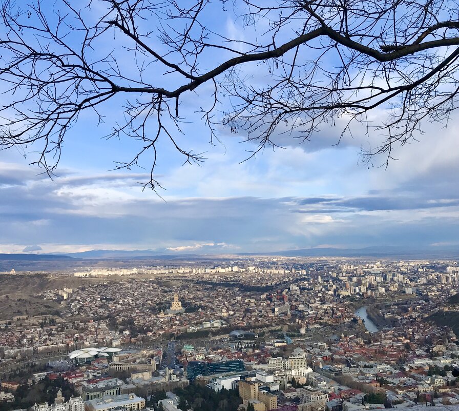 Тбилиси с высоты птичьего полета - Татьяна 