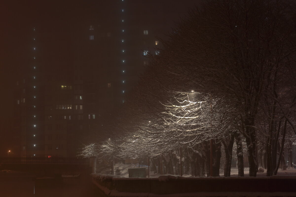 Туманной ночью - Андрей Николаевич Незнанов