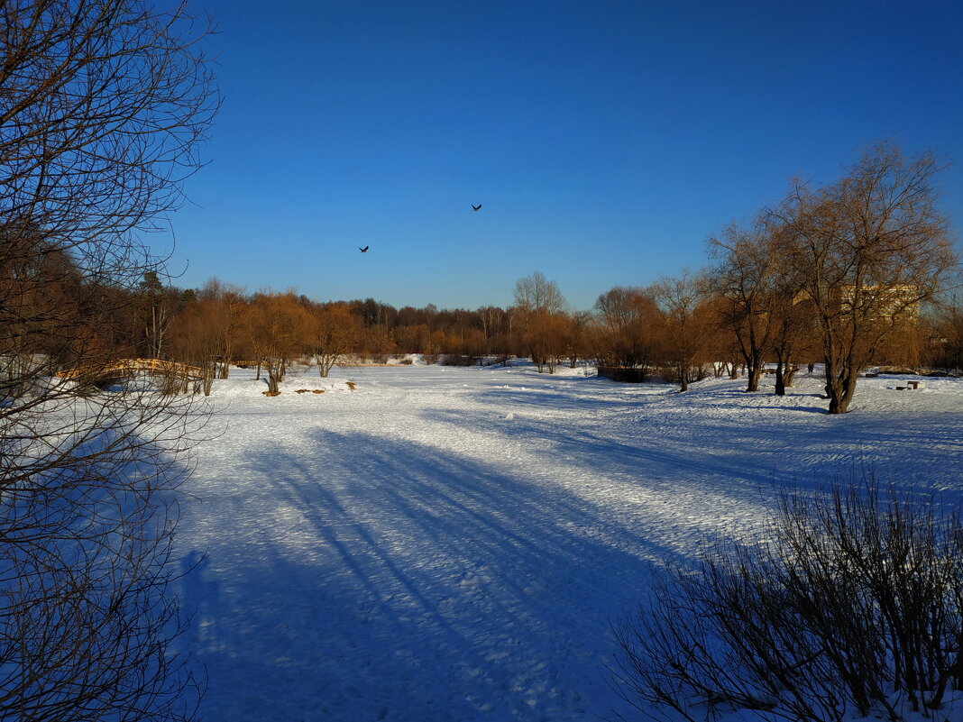 Март на Бабаевском пруду - Андрей Лукьянов