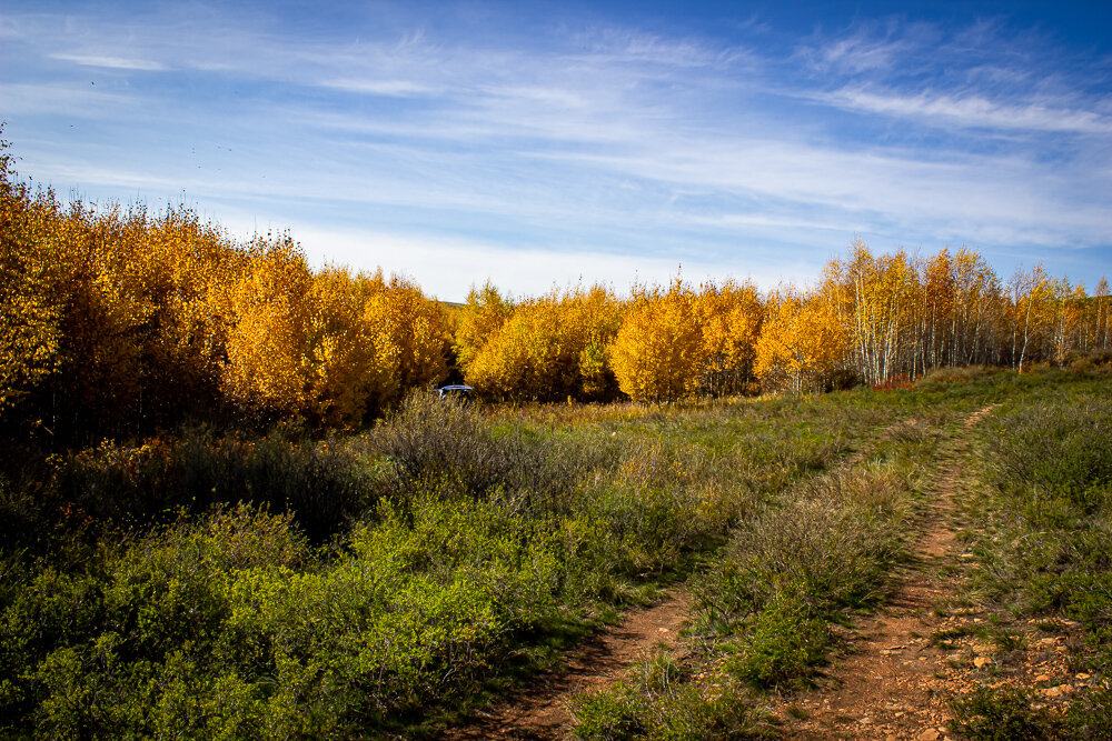 Осенний пейзаж - Светлана SvetNika17