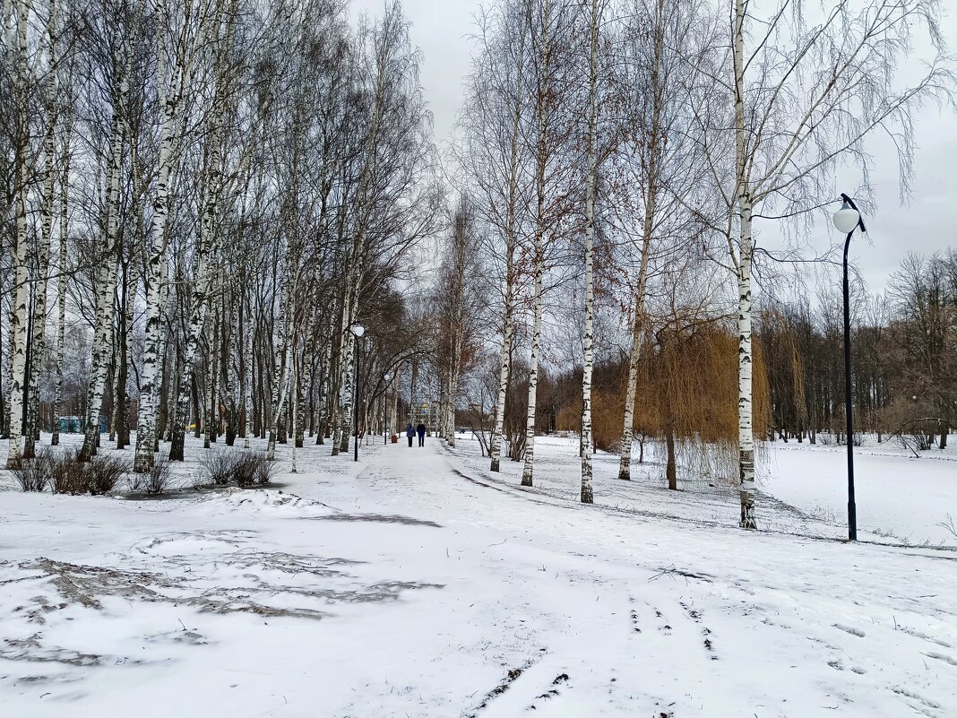 По свежему снегу... - Мария Васильева