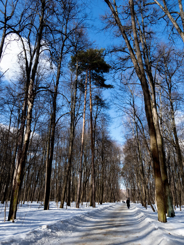 В парке - Мария Демина