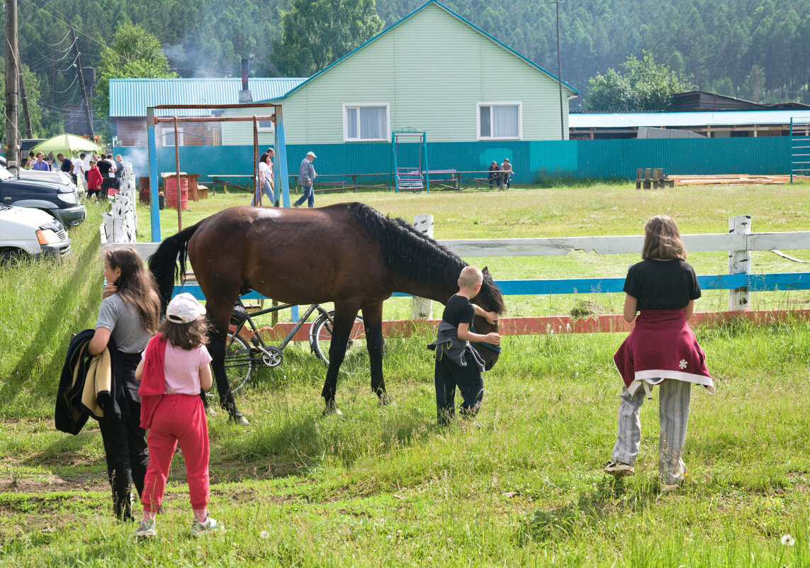 Дети и конь - Сергей Шаврин