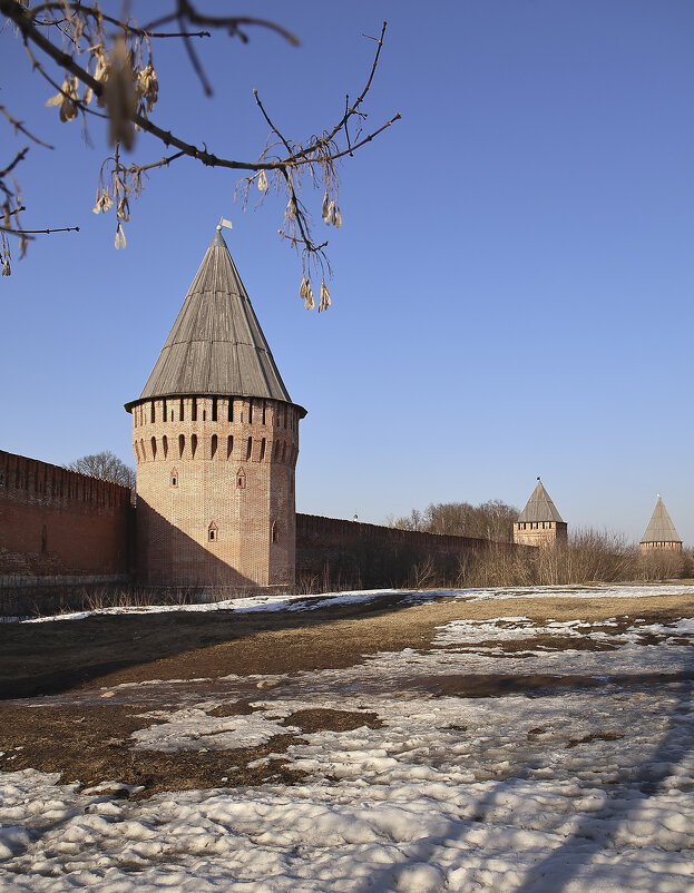 Смоленская крепость в марте - Тарас Золотько