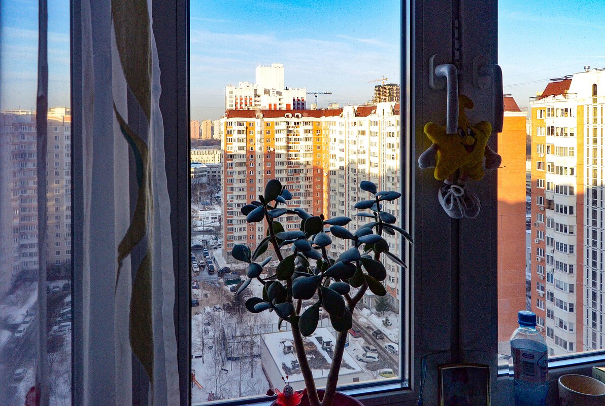 Вид из окна - Oleg4618 Шутченко