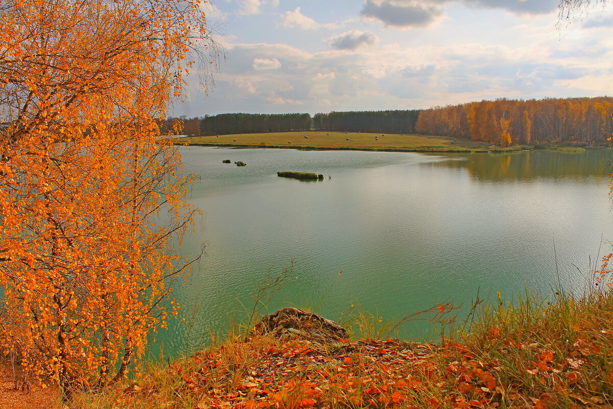 Осень - tamara kremleva