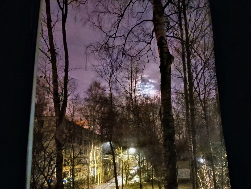 Ночное небо и луна из окна... - Мария Васильева