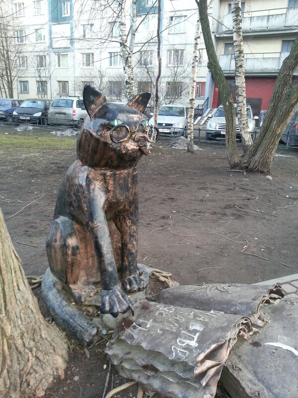 Ученый кот в одном из двориков Петербурга. - Ольга 