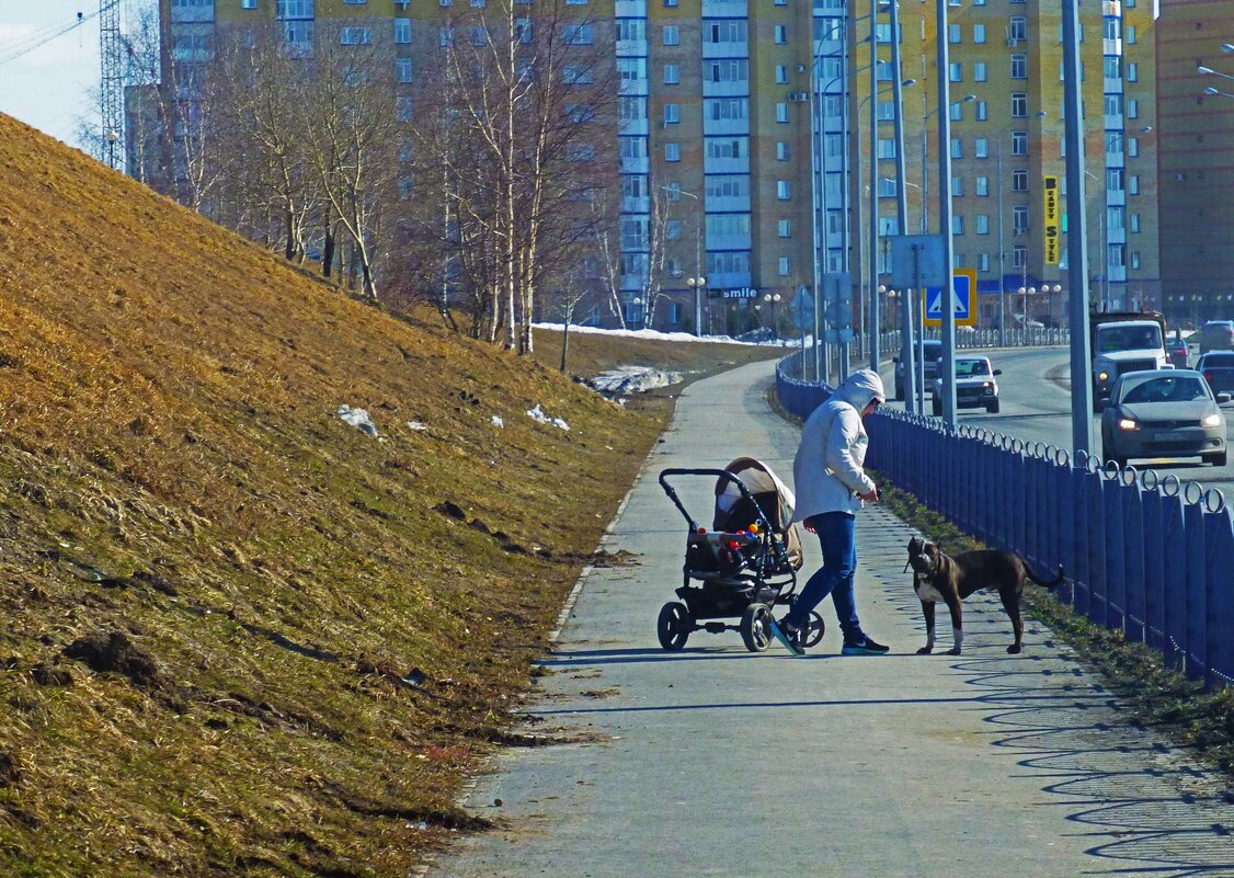 Апрель...Этюд  с собакой и мамой с коляской! - Владимир 