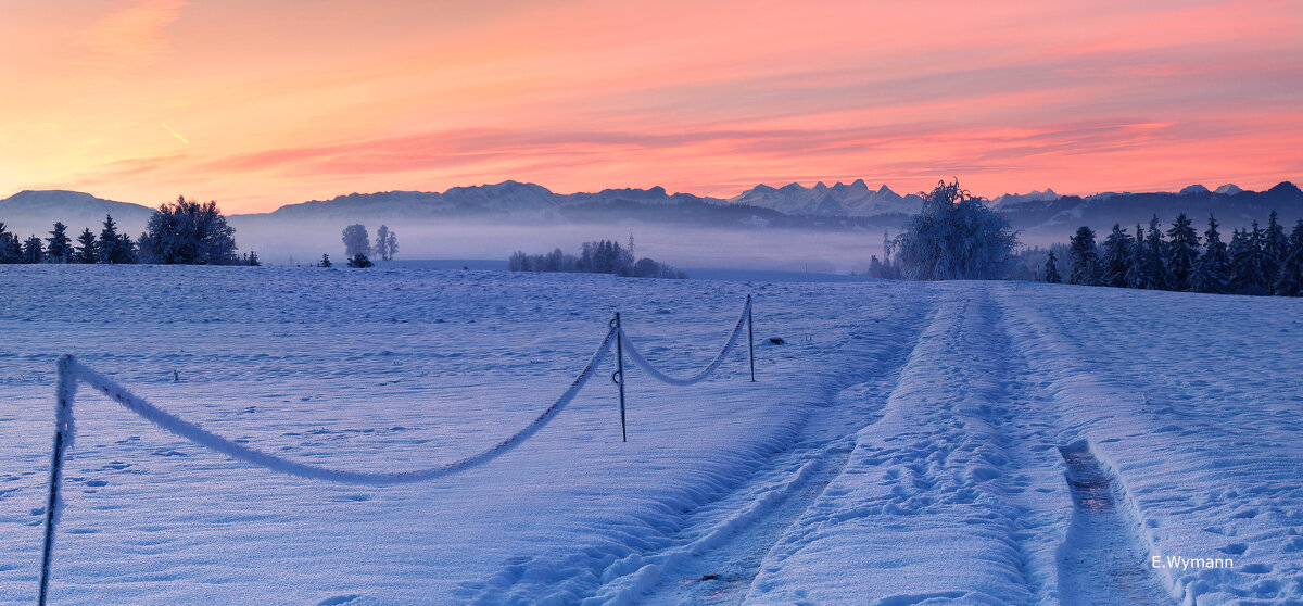 Panorama winter morning - Elena Wymann