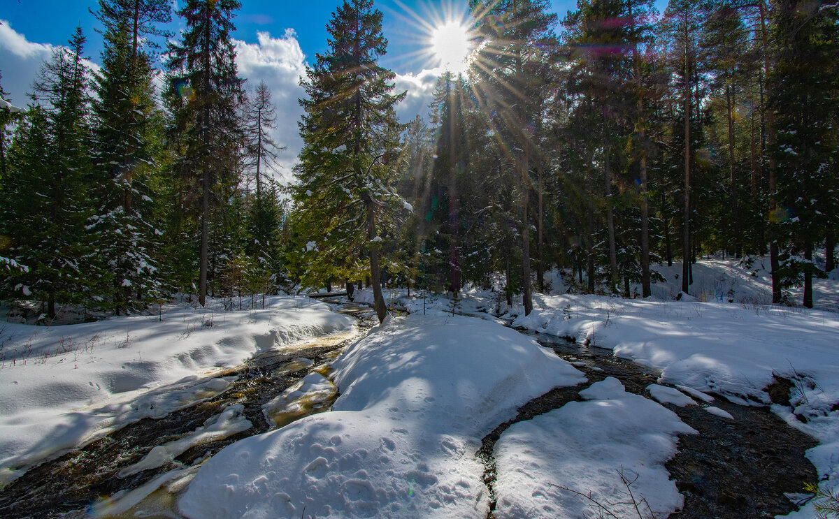 Весенний островок - Vladimbormotov 