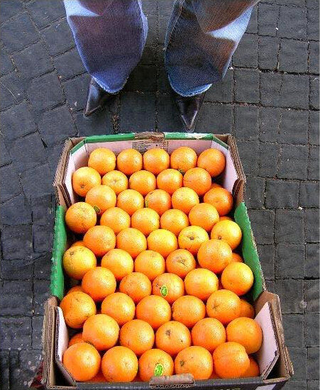 Любовь к трем апельсинам - Helmut Levitt