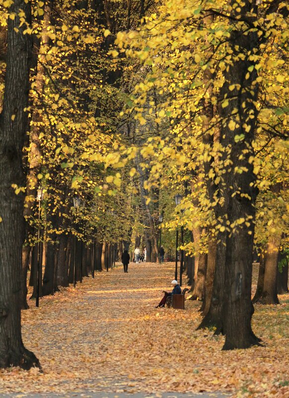 Осень в Измайловском парке - Мария Демина