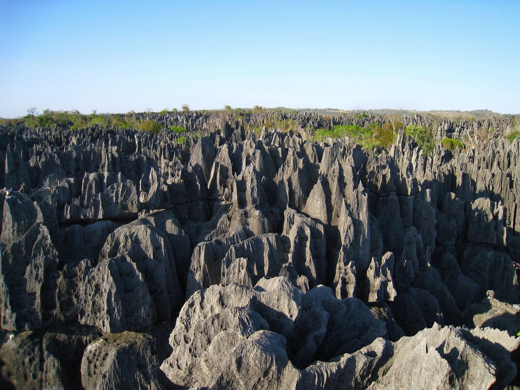 Каменный лес Цинги-де-Бемараха, Мадагаскар. - unix (Илья Утропов)