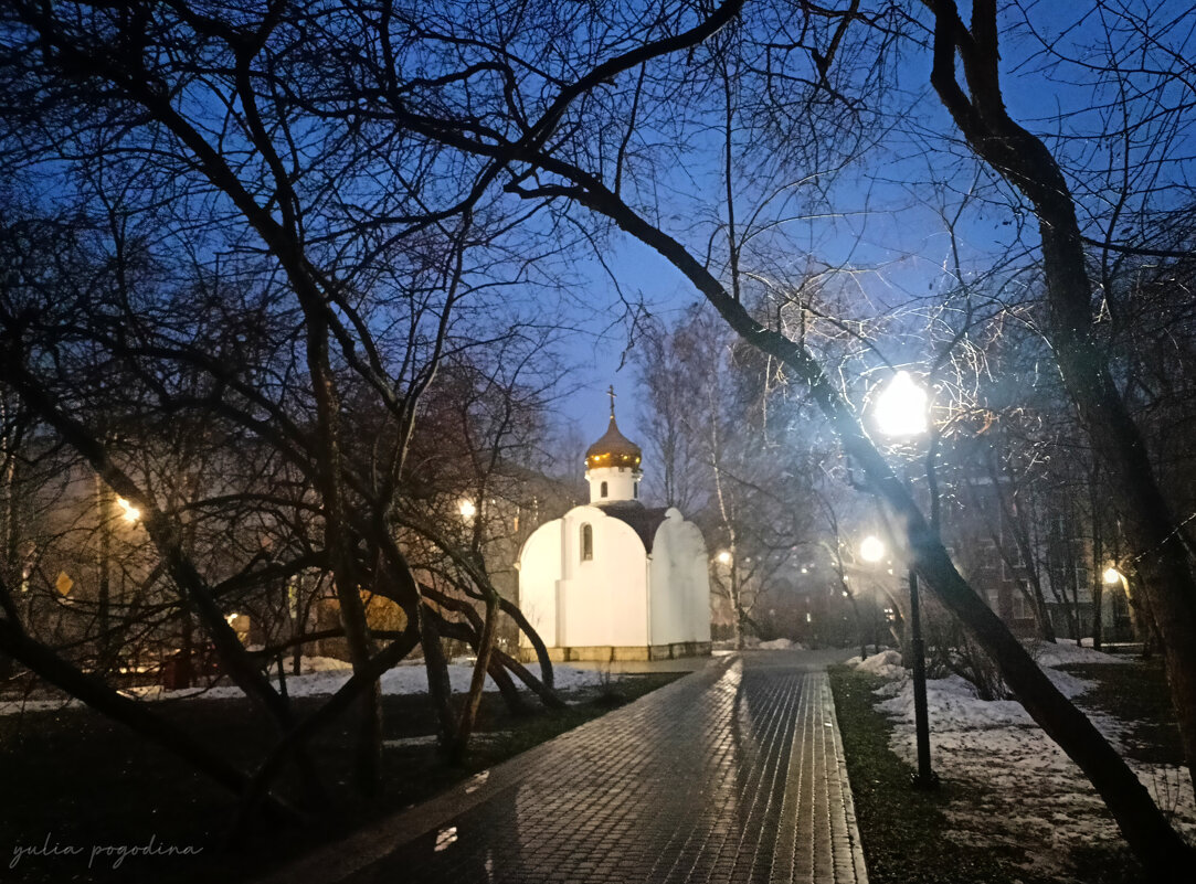 Вечерняя прогулка - Юлия Погодина