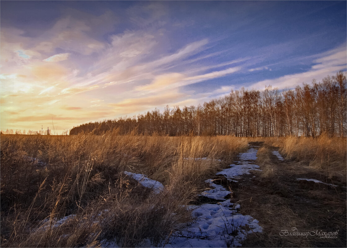 "Исчезающий с полей, снег"© - Владимир Макаров