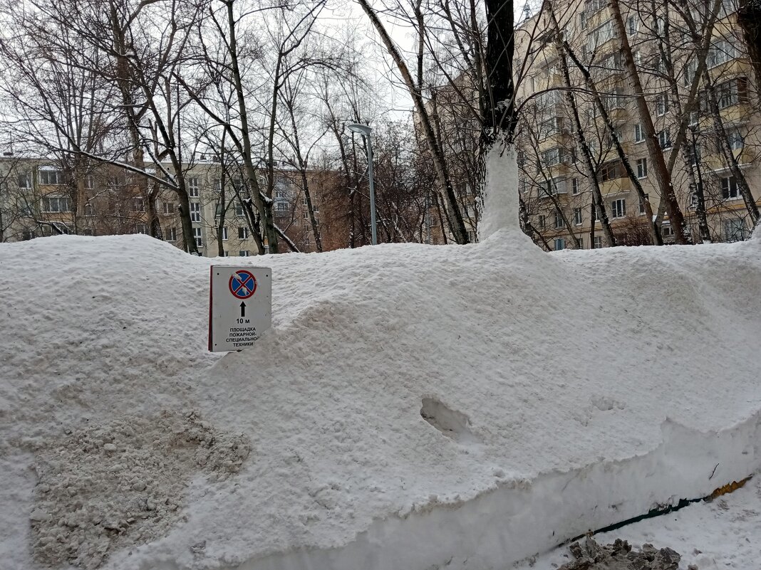 Зима в Москве. - Владимир Драгунский