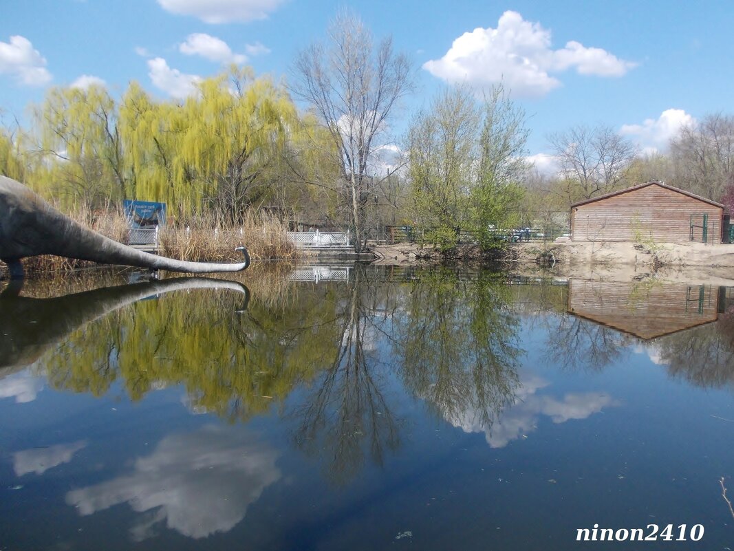 В ростовском зоопарке - Нина Бутко